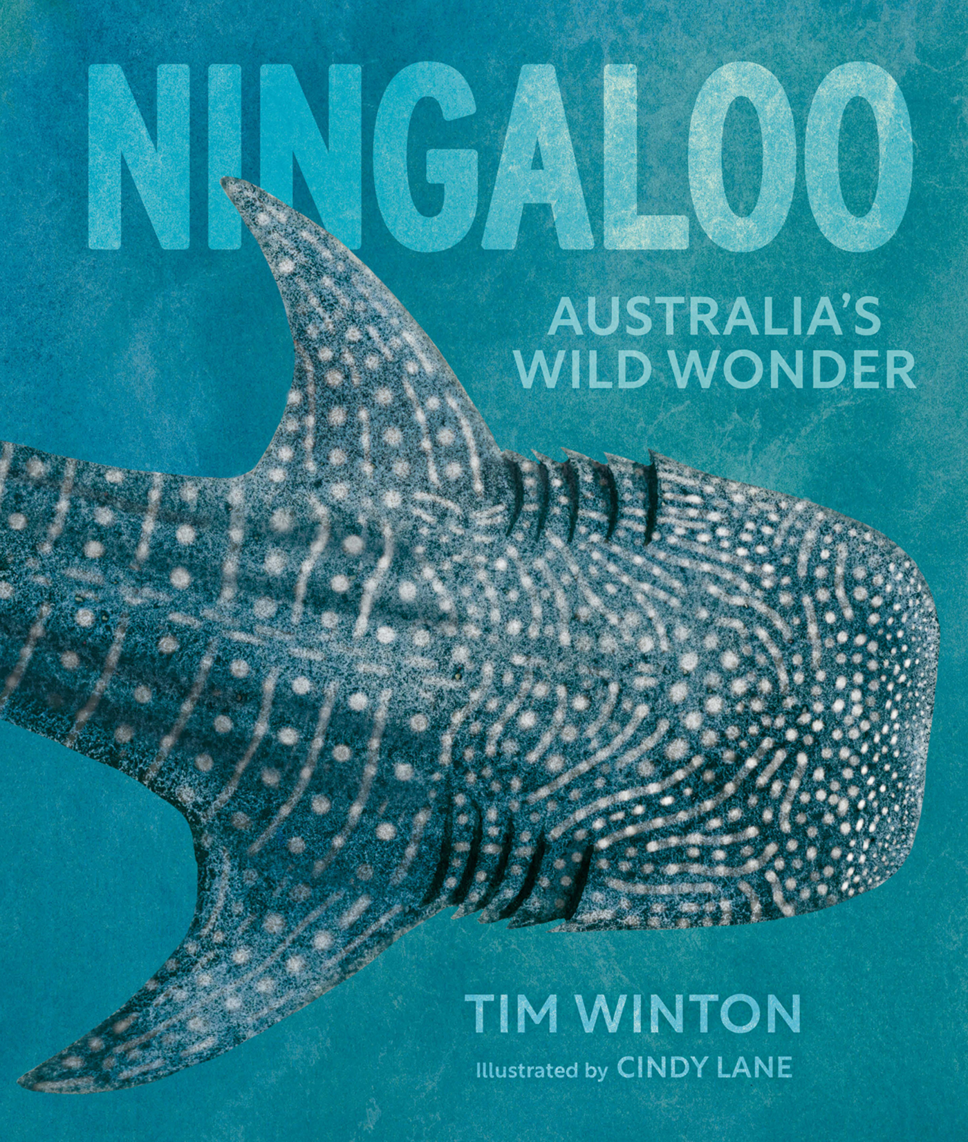 Ningaloo (Hardcover)