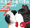 就喜欢你看不惯我又干不掉我的样子4