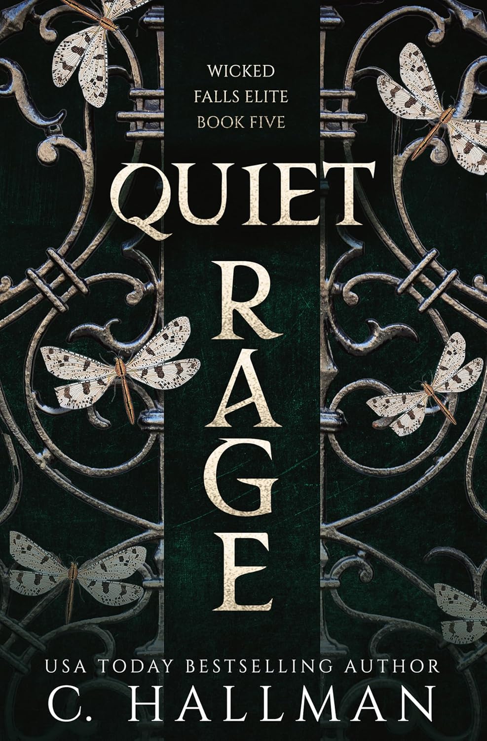 Quiet Rage (Wicked Falls Elite #5)