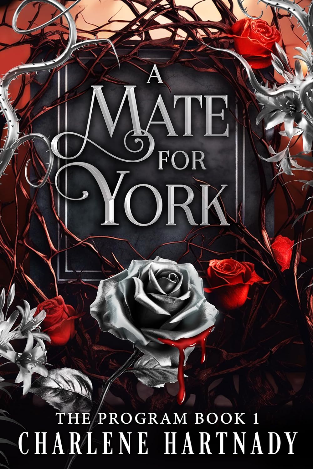A Mate for York (The Program, #1)