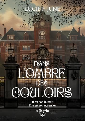 Dans l'ombre des couloirs (Romance contemporaine - Elixir of Love) (French Edition)