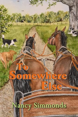 To Somewhere Else (Paperback)