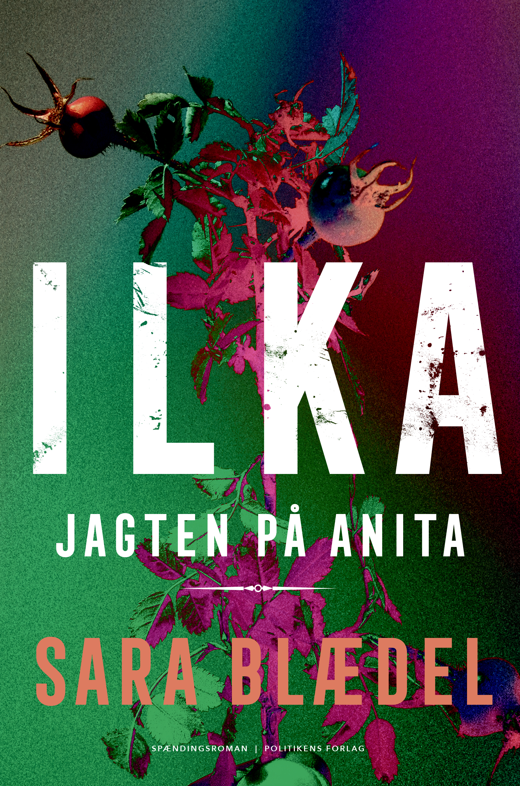 Jagten på Anita (Unknown Binding)