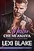 Il master che mi amava (Mas...
