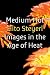 Medium Hot: Images in the Age of Heat