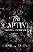 The Captive (Twisted Boys s...