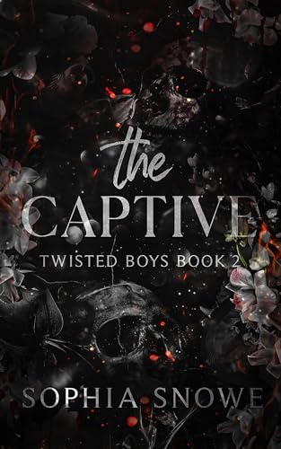 The Captive (Twisted Boys series Book 2)