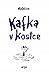 Kafka v kostce