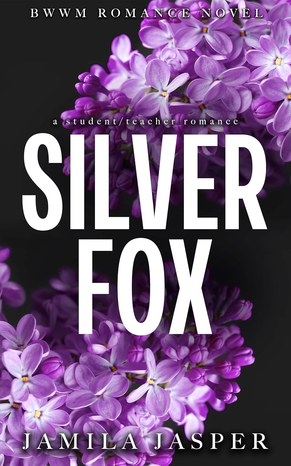 Silver Fox (Kindle Edition)