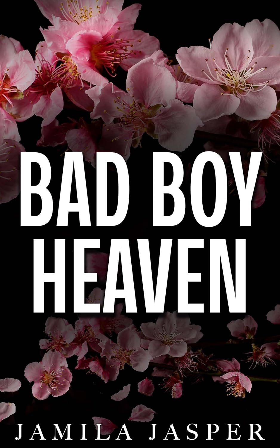 Bad Boy Heaven (Kindle Edition)