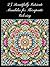 Mandalas for Therapeutic Co...