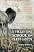 A Training School for Elephants by Sophy Roberts