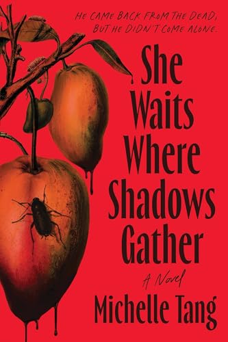 She Waits Where Shadows Gather (Paperback)