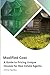 Modified Cost: A Guide to P...