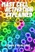 Mast Cell Activation Explai...