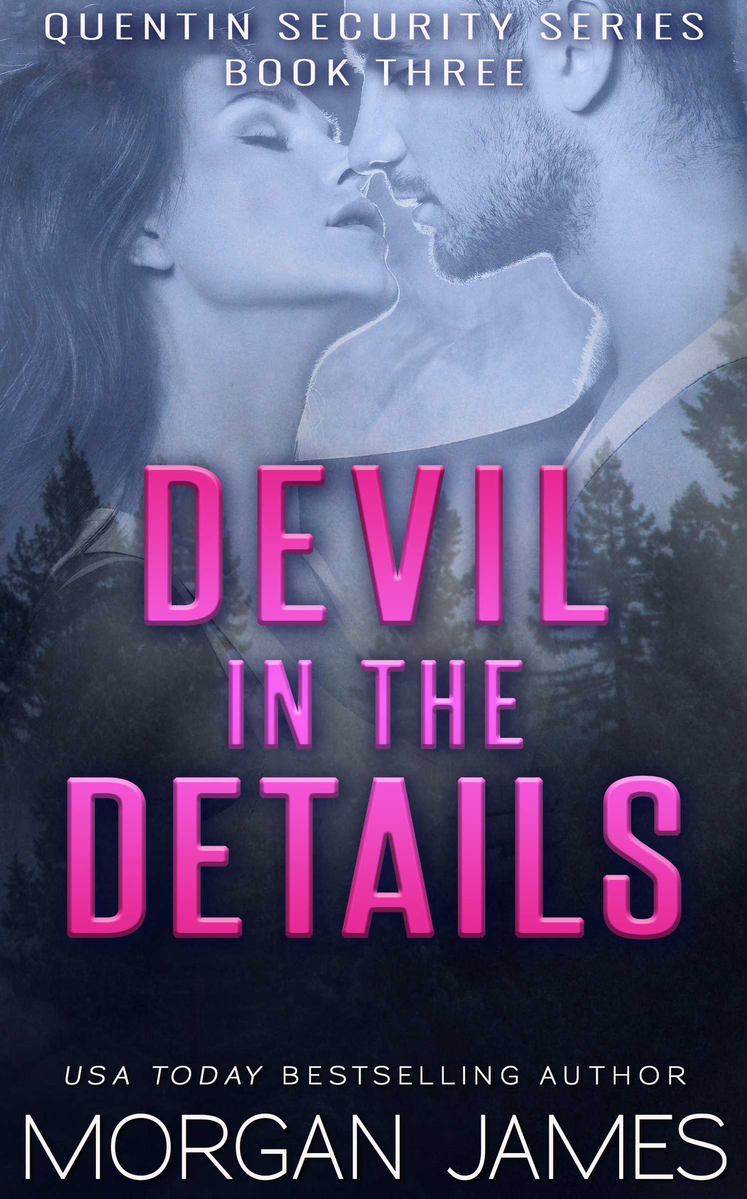 Devil in the Details (Quentin Security #3)