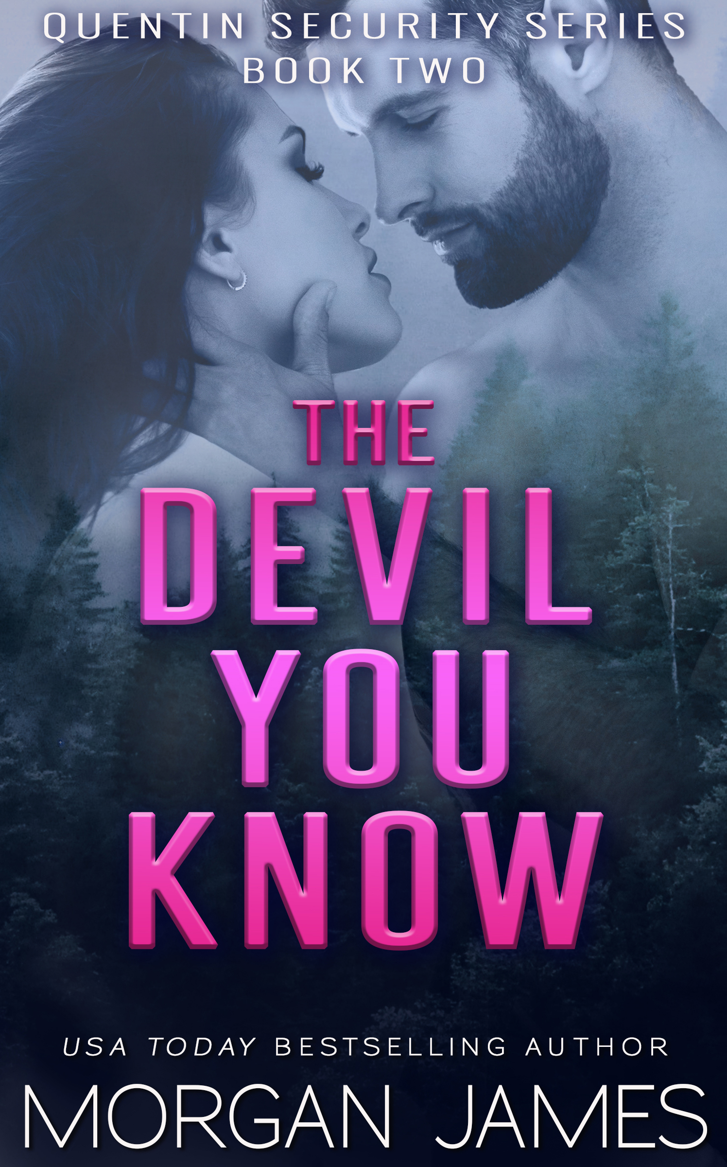 The Devil You Know (Quentin Security #2)