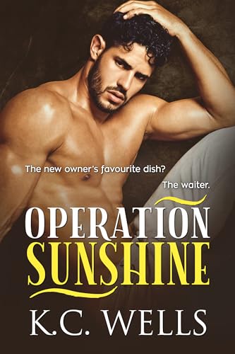 Operation Sunshine (Kindle Edition)