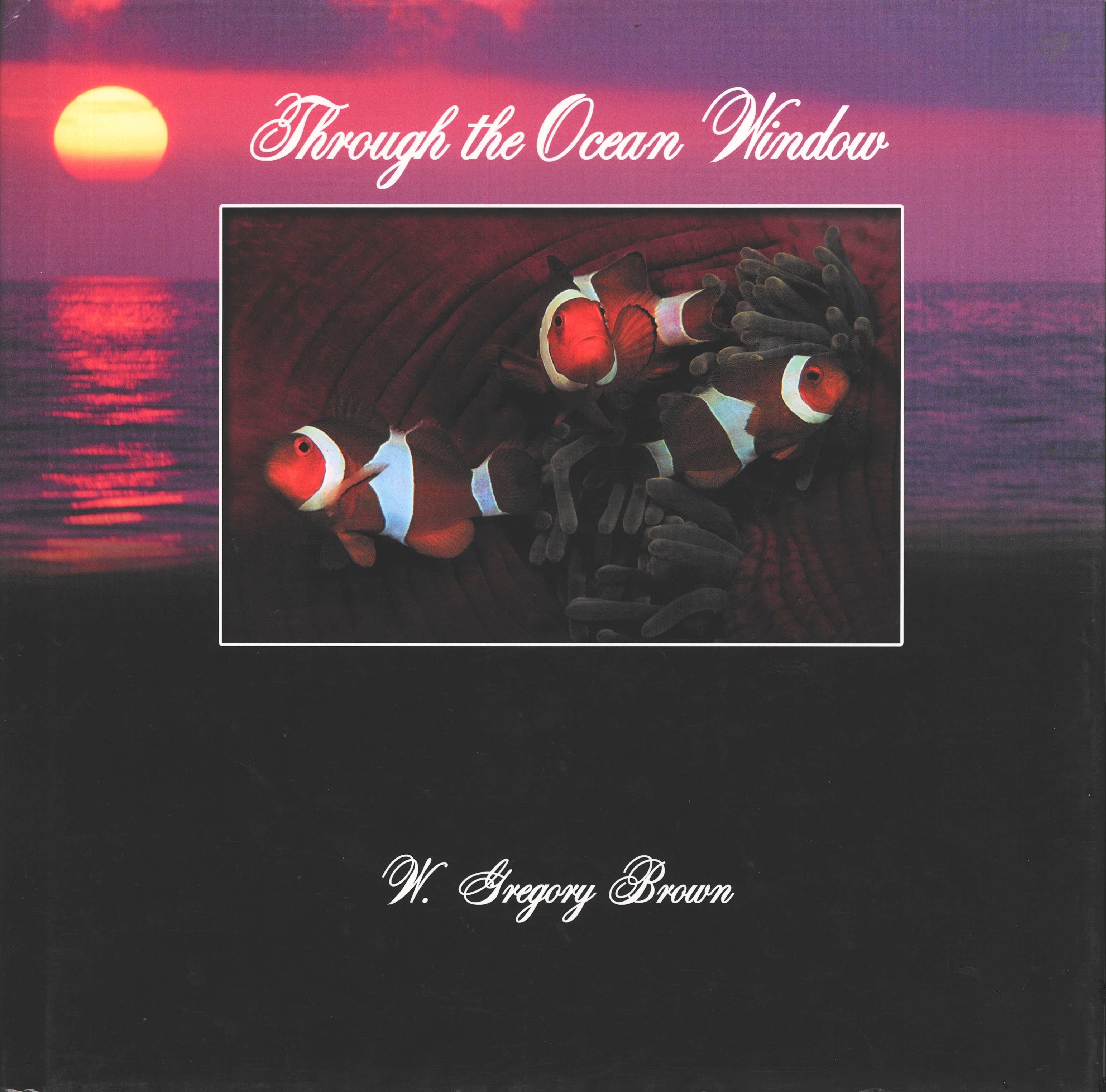 Through the Ocean Window (Hardcover)