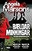Bældar minningar (D.I. Kim Stone #10)