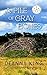 A Pile of Gray Bones by Deanna King