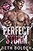 Perfect Storm by Beth Bolden