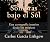 Sombras bajo el Sol: Una ca...