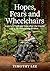 Hopes, Fears and Wheelchair...