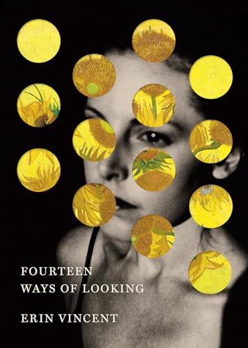 Fourteen Ways of Looking (Hardcover)