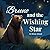 Bruno and the Wishing Star:...