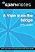 A View from the Bridge (SparkNotes Literature Guide) (SparkNotes Literature Guide Series)