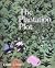 The Plantation Plot by Rahel Joseph