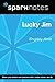 Lucky Jim (SparkNotes Liter...