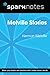 Melville Stories (SparkNote...