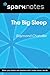 The Big Sleep (SparkNotes L...