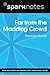 Far from the Madding Crowd (SparkNotes Literature Guide) (SparkNotes Literature Guide Series)