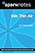 Into Thin Air (SparkNotes L...