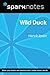 Wild Duck (SparkNotes Literature Guide) (SparkNotes Literature Guide Series)