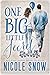One Big Little Secret (The Rory Brothers, #2)