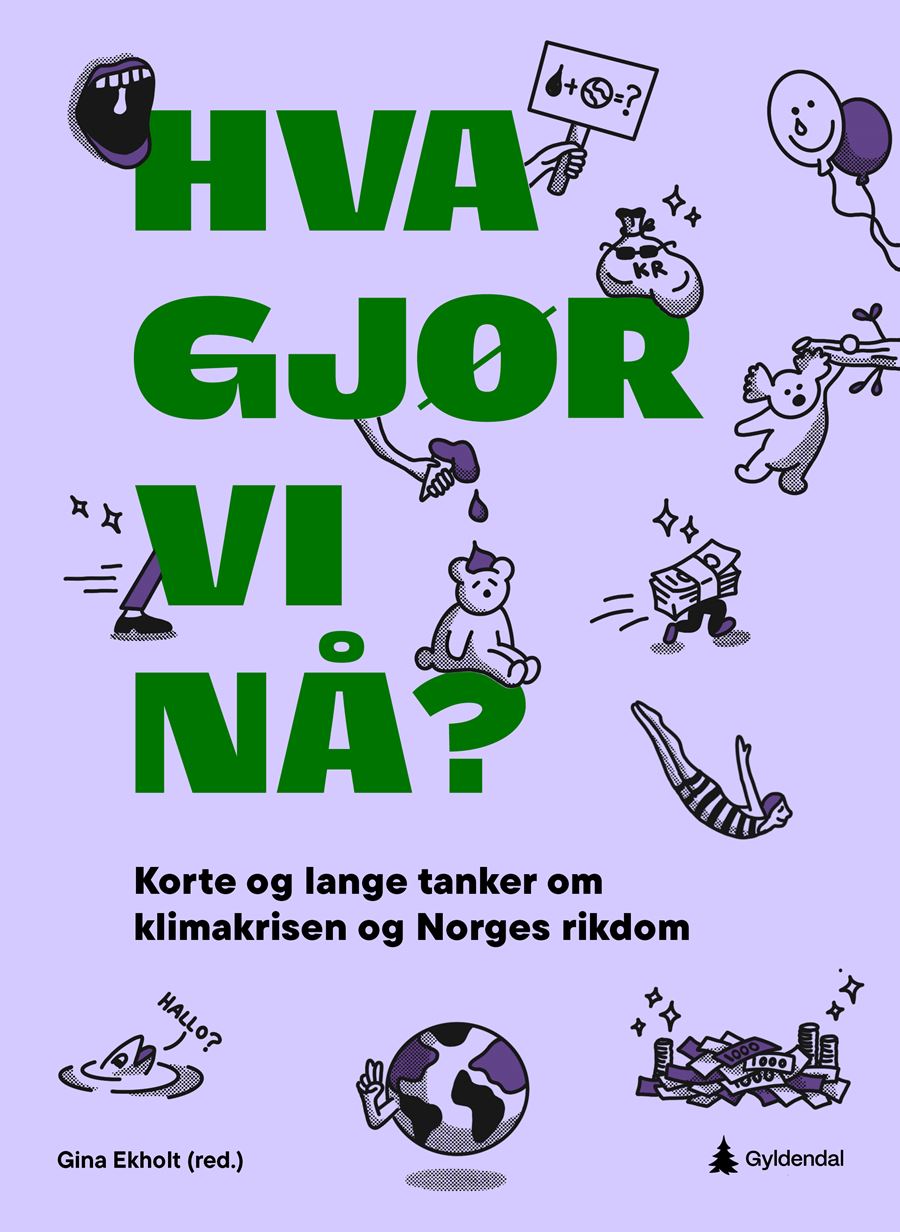 Hva gjør vi nå? Korte og lange tanker om klimakrisen og Norges rikdom (Paperback)