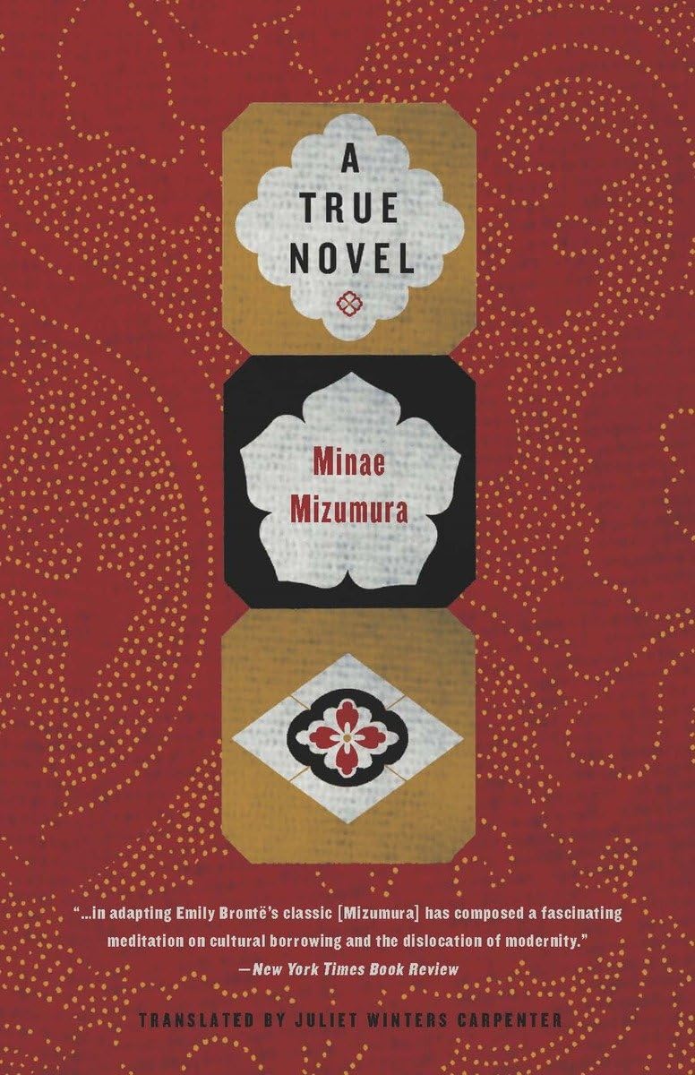 A True Novel (Paperback)