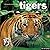 Tigers 2000 Calendar