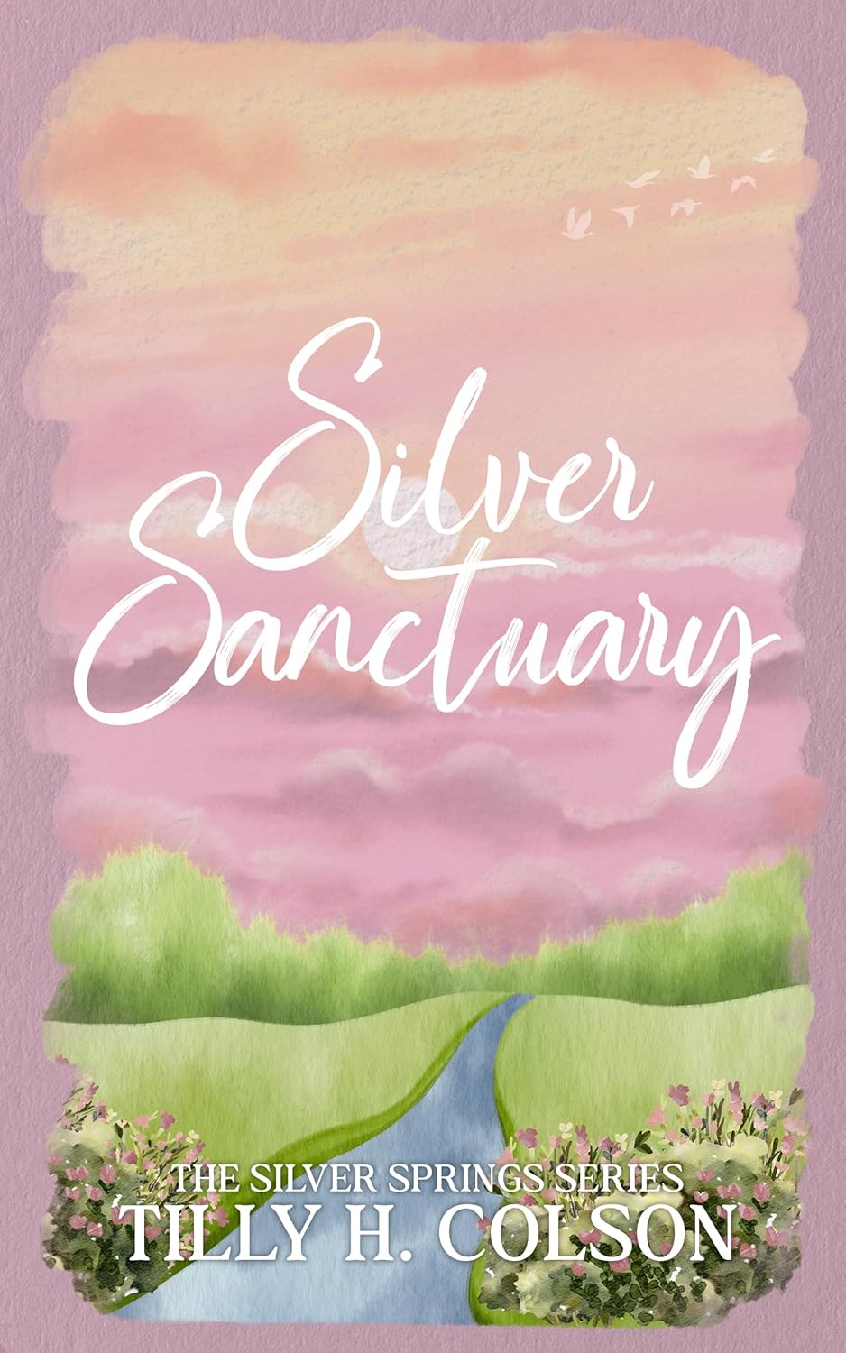 Silver Sanctuary (Silver Springs #3)