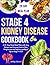 Stage 4 Kidney Disease Cook...