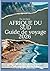 AFRIQUE DU SUD Guide de voy...