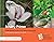 Botany Primer: Understanding Botany for Nature's Notebook (USA-NPN Education & Engagement Series, 2015-001)