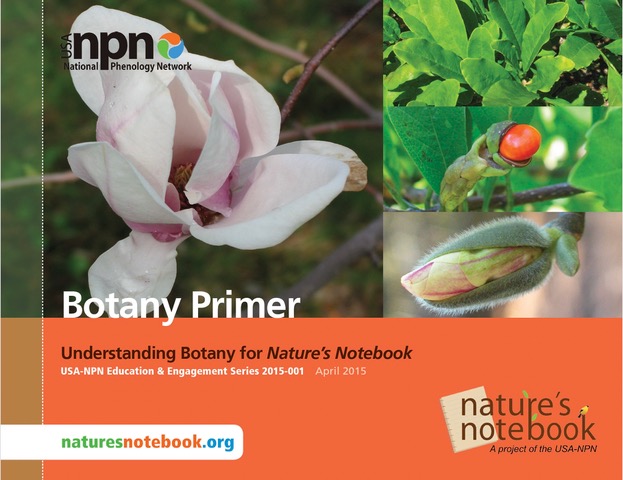 Botany Primer: Understanding Botany for Nature's Notebook (USA-NPN Education & Engagement Series, 2015-001)