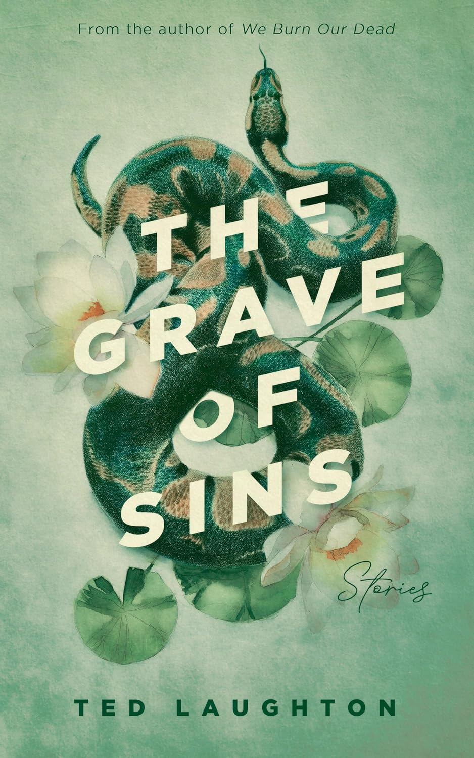 The Grave of Sins (Kindle Edition)