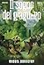 Il sogno del giaguaro