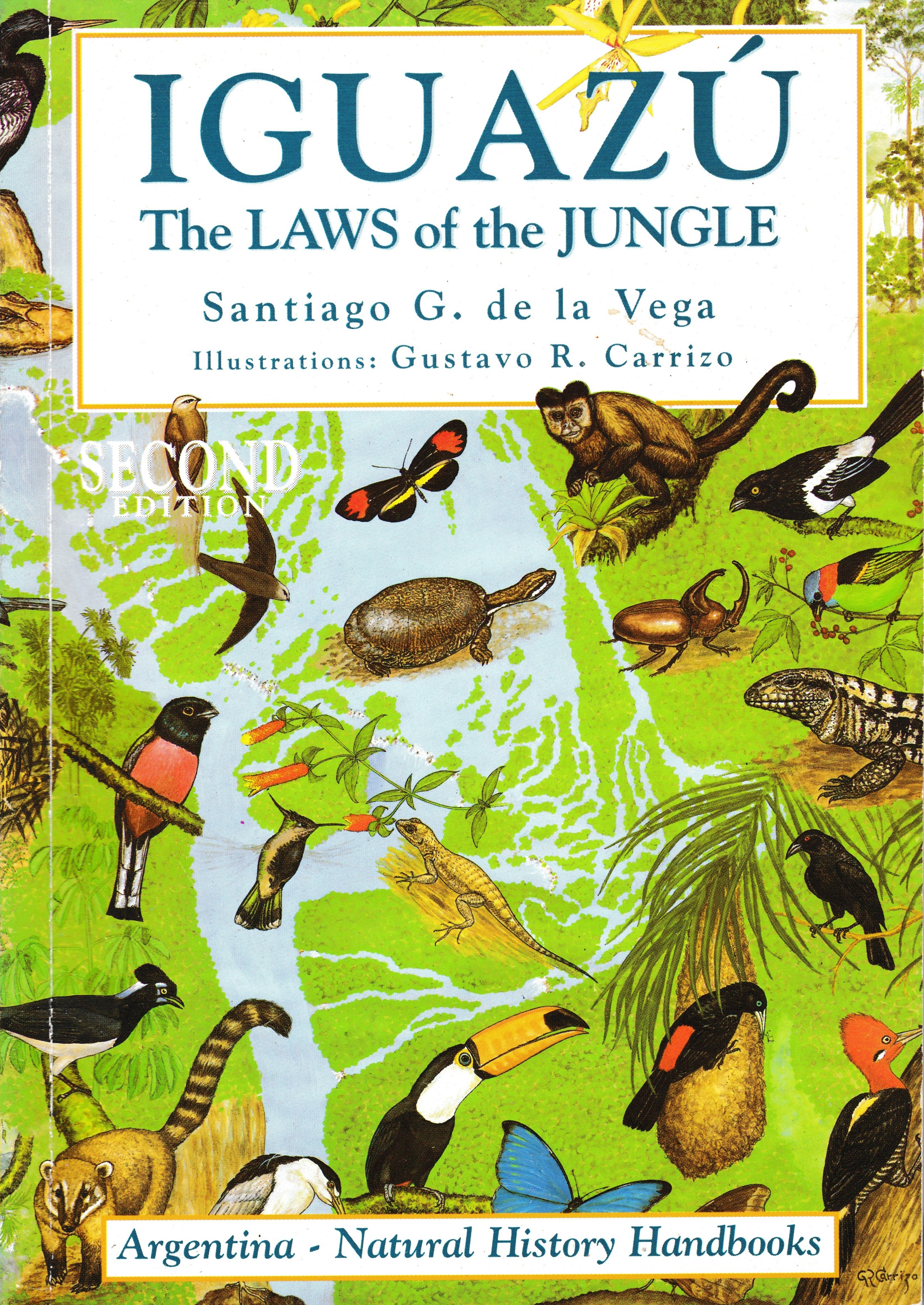 Iguazu the Laws of the Jungle